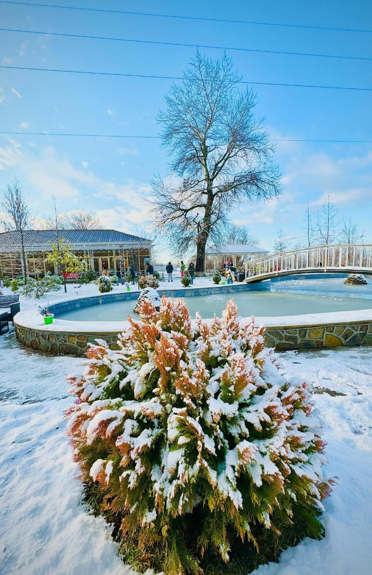 Gabala Bliss Inn Hotel And Restaurant Exteriér fotografie